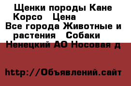 Щенки породы Кане-Корсо › Цена ­ 25 000 - Все города Животные и растения » Собаки   . Ненецкий АО,Носовая д.
